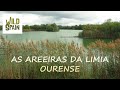 Wild Spain - Capítulo 101 - As Areeiras da Limia, Ourense (antigua Laguna de Antela).