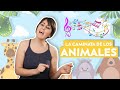 LA CAMINATA DE LOS ANIMALES -  Canción Infantil