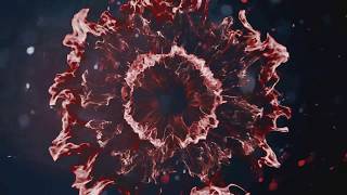 Intro -sin texto-  -editable-  -Free Intro-