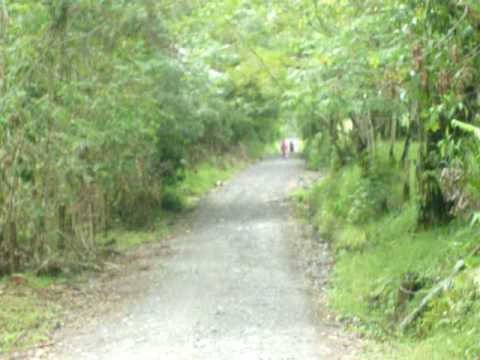 maria luisa calle ...ciclista