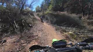 Penny Pines NorCal Dual Sport Adventure | KLX 300