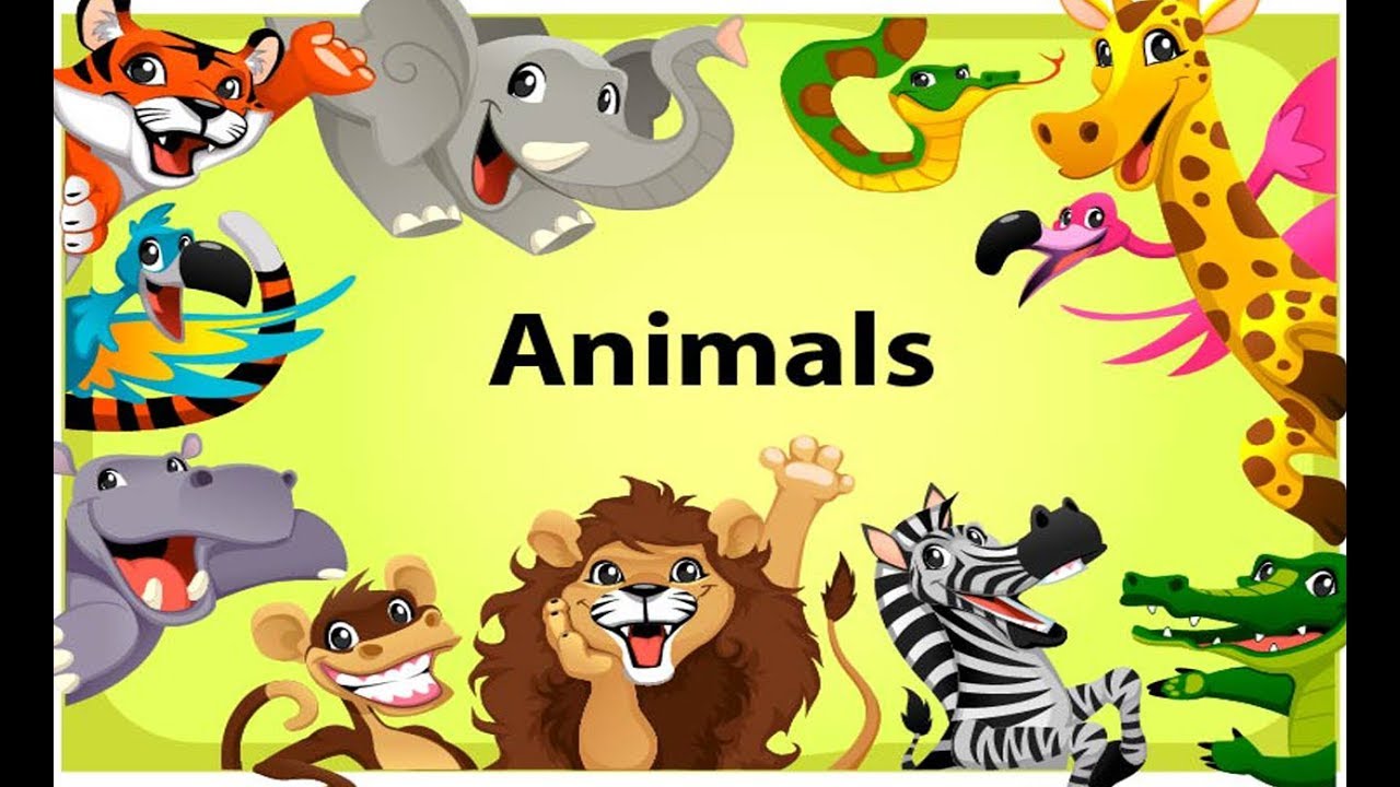 Learning Wild Animals Names and Sounds for Kids | Animals for kids to