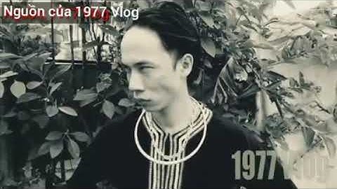 Những Câu Nói Cực Chất Làm Nên Tên Tuổi Của 1977 Vlog — Cưc Phê