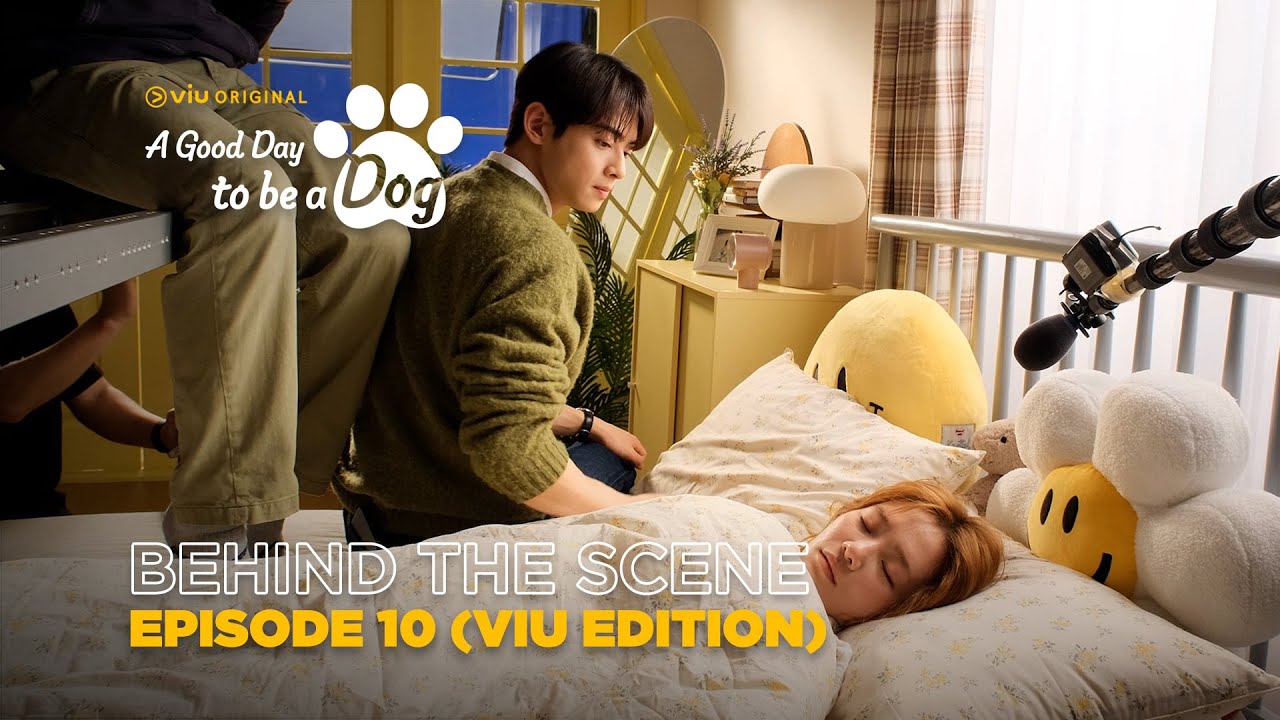 A Good Day To Be a Dog Episode 10 Trailer: Cha Eun-Woo, Park Gyu-Young Get  Suspicious of Lee Hyun-Woo