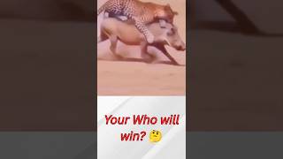 Wild Animal Fight 🐾 | Intense Nature Battle #shorts