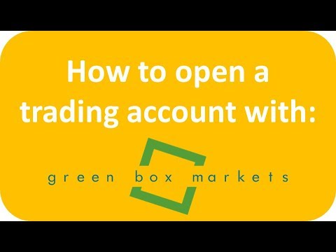 Shaping the next market leaders | Amplify Trading London