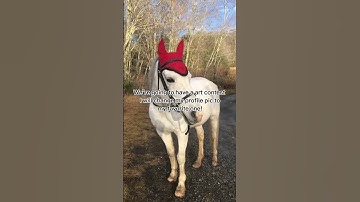 Art contest!!! Read pinned comment! #subcribers #3k #milestone #ytshorts #contest #horseart #join