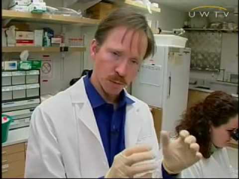 Hearing Loss: Molecular Therapy