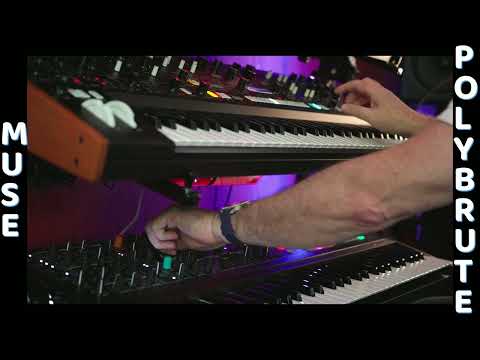 Moog Muse & Arturia Polybrute: The best combo?