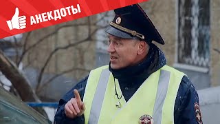 Анекдоты - Выпуск 219