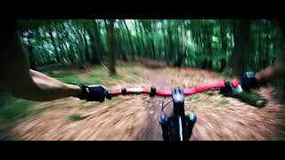 One Day At Local Trail