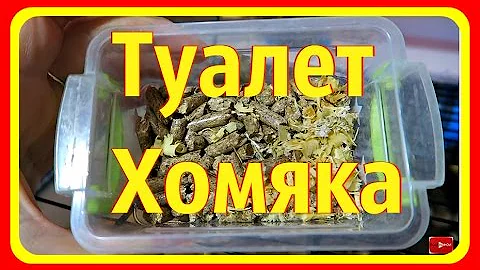 Как отучить хомяка ходить в туалет в домик