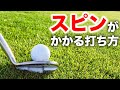 バックスピンをかける方法。アプローチでキュキュッと止めたい人向けです。【ゴルフレッスン】