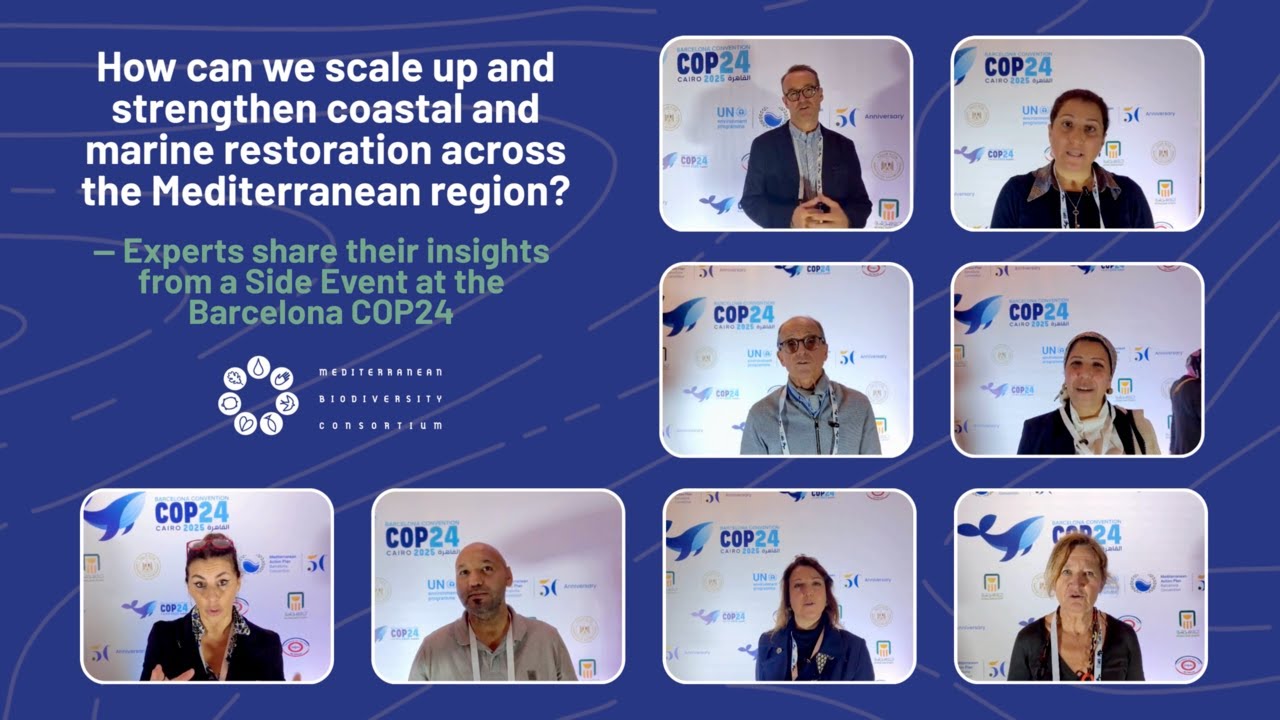How can we scale up and strengthen coastal and marine restoration across the Mediterranean region?