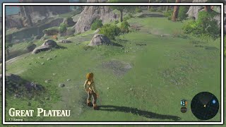 Zelda Breath of the Wild Review Stream, Part 1