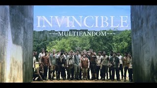 ►INVINCIBLE [ multifandom ]