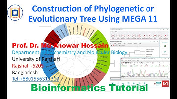 Tutorial No 2. Construction of Phylogenetic tree using MEGA11