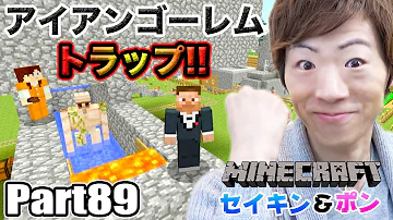 セイキンマイクラ セイキンマイクラ