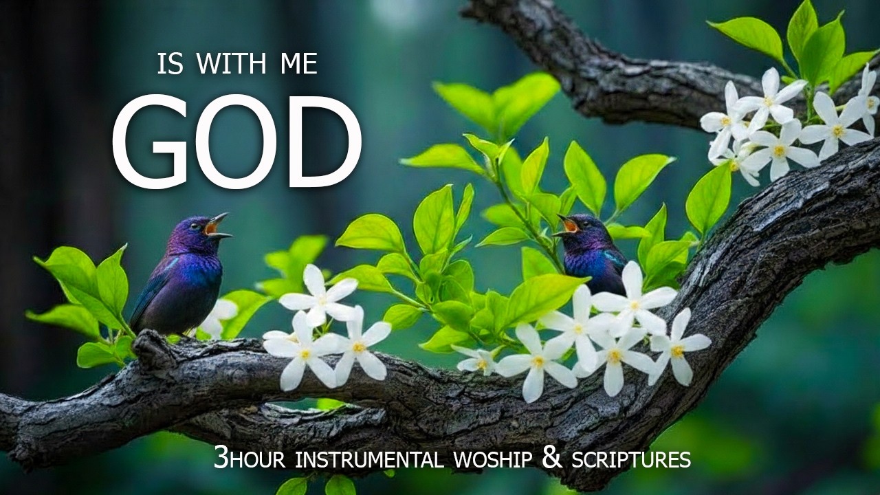 БОГ СО МНОЙ | Успокаивающие библейские тексты под нежную евангельскую музыку на фортепиано