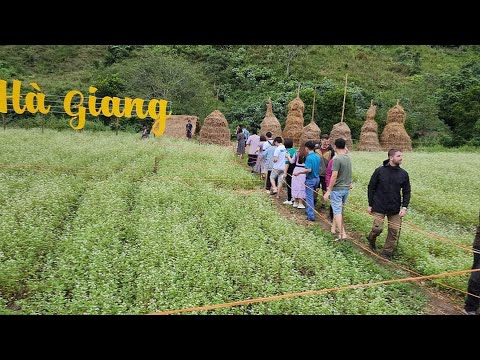 Video Vỡ trận mô hình làm đẹp Hà Giang tây ta mắt xanh lè. - youtube