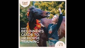 71. Beginner’s Guide to +R Horse Training (Pt. 1)