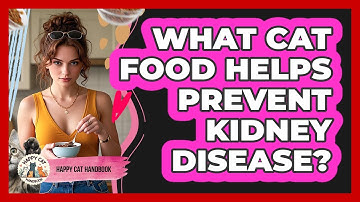 What Cat Food Helps Prevent Kidney Disease? - Happy Cat Handbook