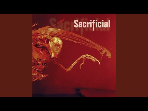 Sacrificial — Victimized