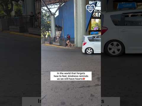 Kindness is the most beautiful decision a heart can make.❤️ #inspiration #bekind #positivevibes