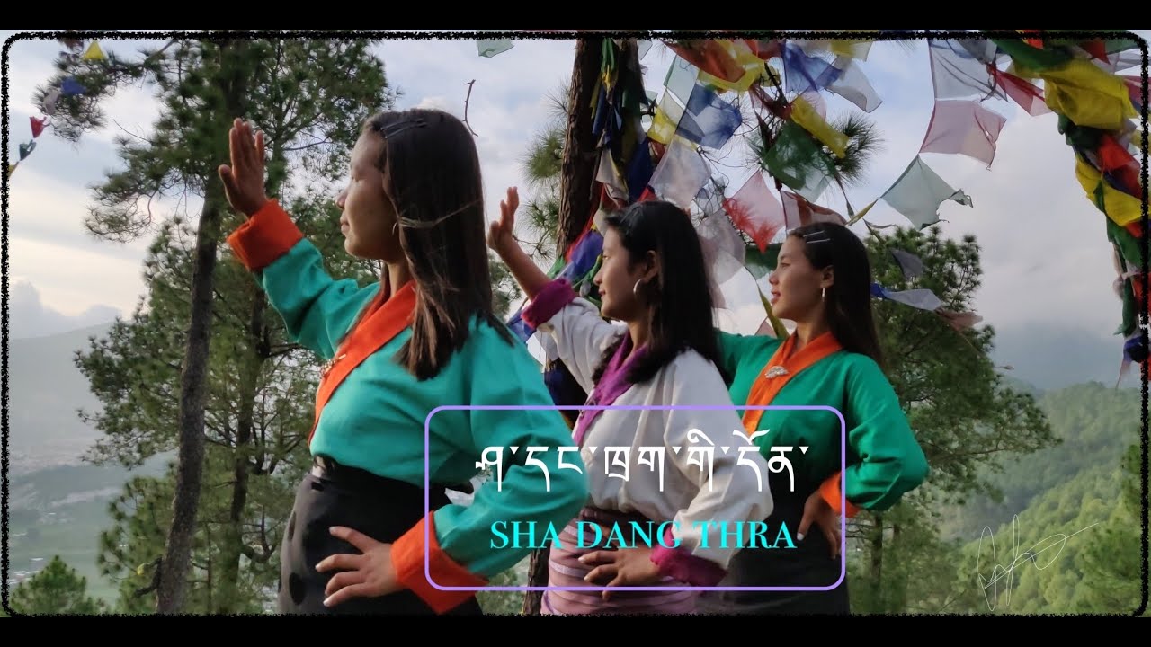 Sha dang thra Cover video 2020 tibetan vlogger