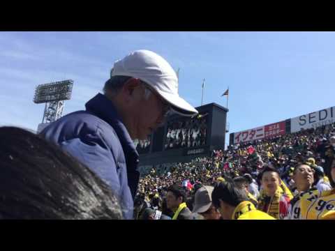 2017年度　阪神タイガース　試合開始前PV