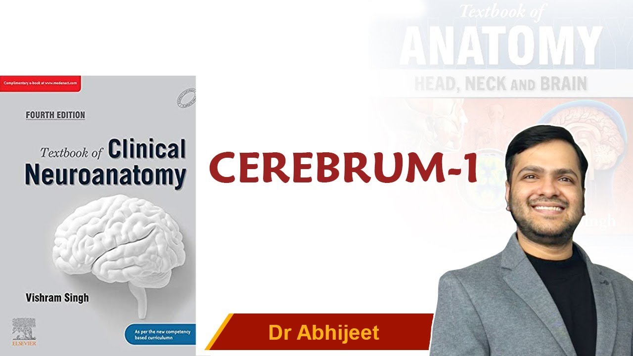 Neuroanatomy : Cerebrum (Part - 1) For Mbbs 1st Proff By Dr Abhijeet.