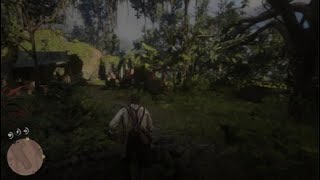 Red Dead Redemption 2 saving javier at guarma