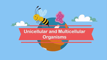 Unicellular and Multicellular Organisms