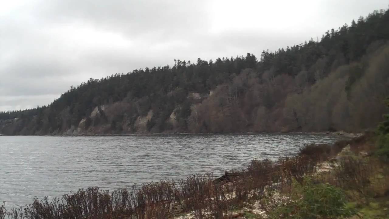 Cama Beach - Coastline