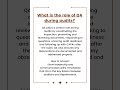 What is the role of QA during audits?
