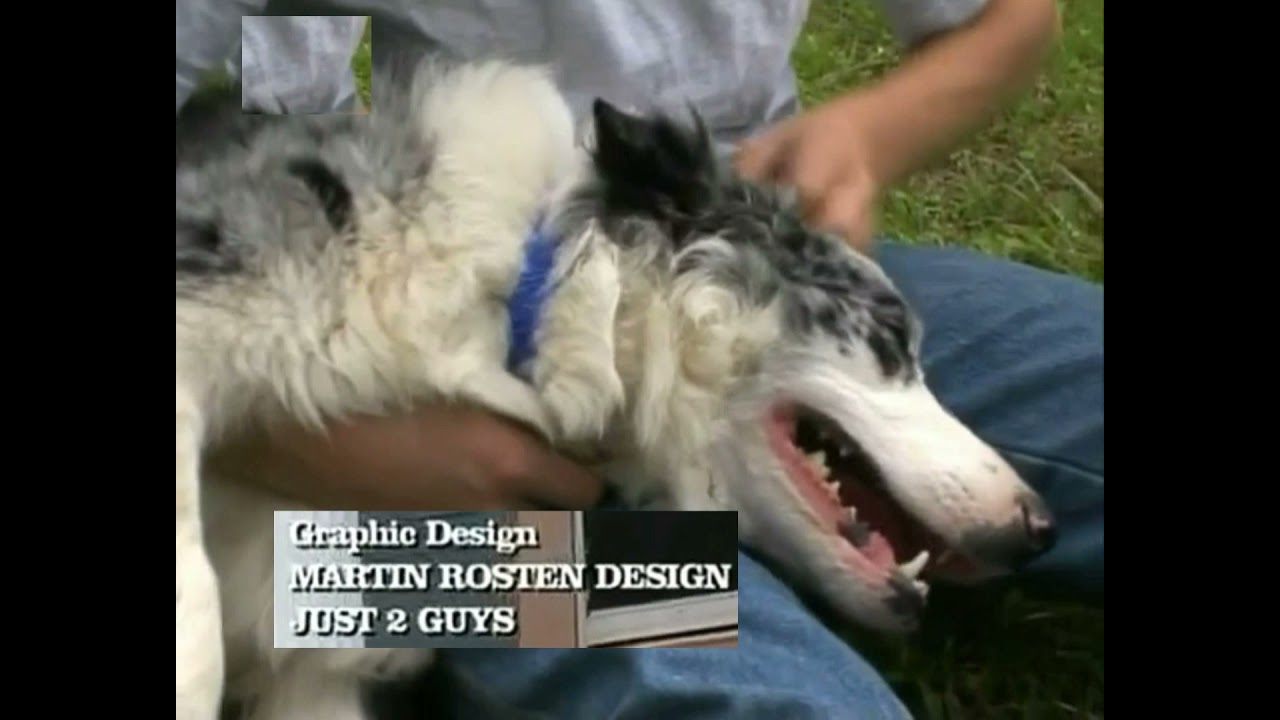 Animal Cops Houston Ending Credits Season 9 Episode 9 YouTube