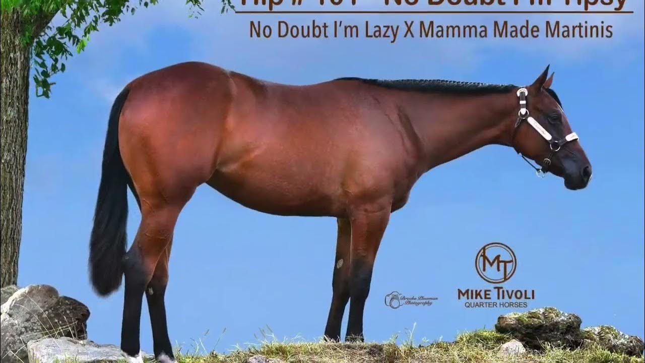 Mike Tivoli Quarter Horses 2022 NSBA Sale Yearlings YouTube