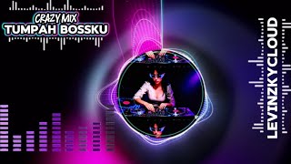 Download Lagu TUMPAH BOSS KU🎸 CRAZY MIX 🎸LAGU REMIX POPULER MASA KINI🎶 MP3