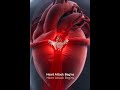 🚨 Inside a Heart Attack: What Happens to Your Heart in Seconds? #safeheart #heartawareness