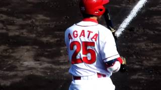 2013/04/08阿加多直樹#25(領家中→慶應義塾高→慶応義塾大→日本生命)