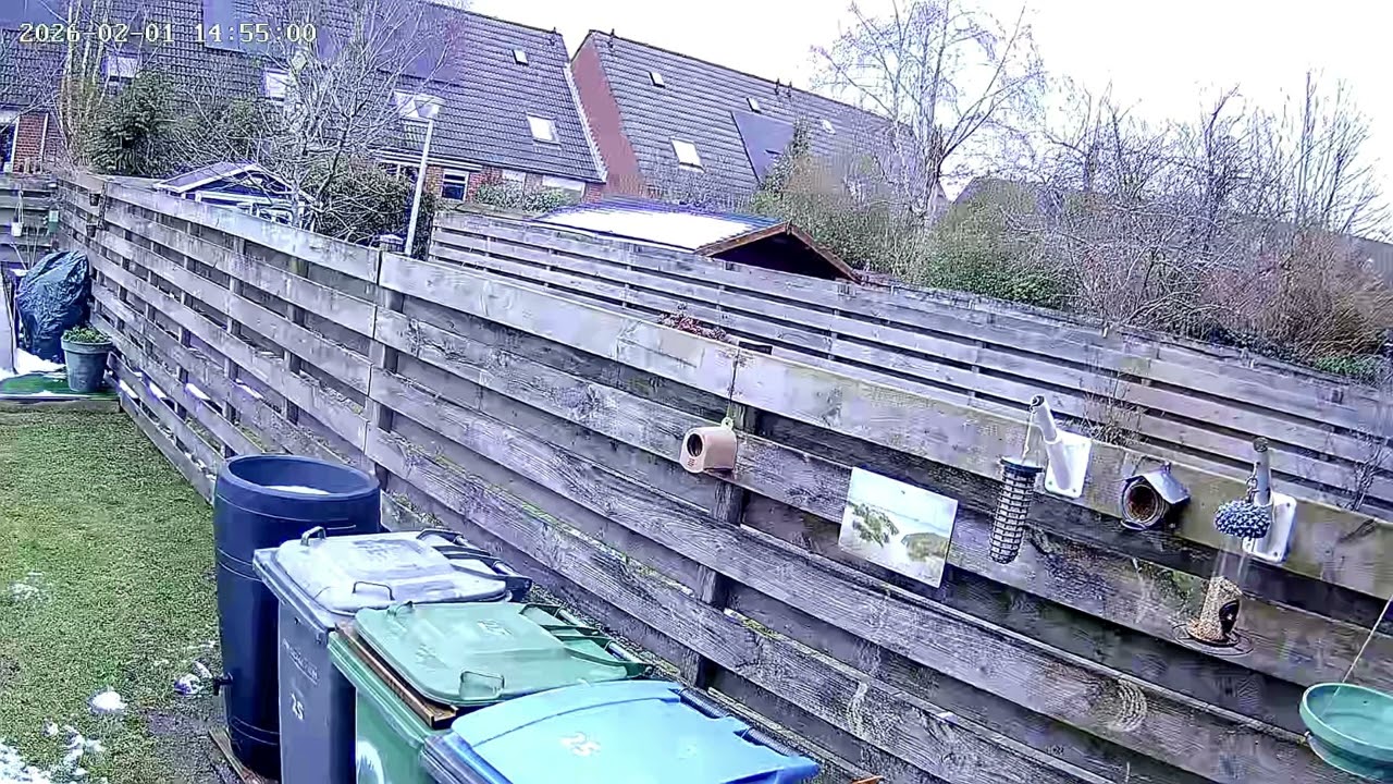 Voedersystemen en vogeltjes in de tuin. Gisteren nieuwe houder opgehangen.