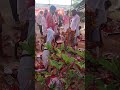 Dev Mandhai Khilauli Urisa #shorts #youtubeshorts #earnmoneyonlinedevmandhai