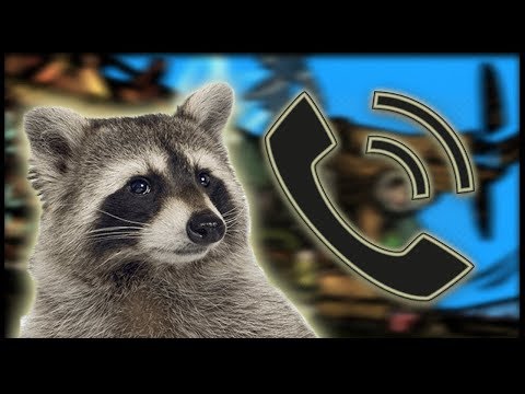 Invading RaccoonEggs Stream with a phone call - Invading RaccoonEggs Stream with a phone call