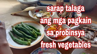 native na ulam sa amin sa provence