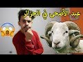 هكذا جوزت عيد الأضحى | Vlog Eid Mubarak