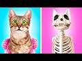 TINA - UNE JOURNÉE DANS LA VIE D'UN CHAT Par Meow-some ! En direct