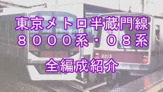 東京メトロ半蔵門線 8000系･08系 全編成紹介