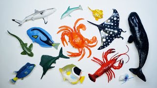 Collect 7 Sea Animals Clown Fish, Hammerhead Shark, Orca Whale, Hermit Crab, Goblin Shark, Sailfish