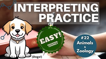 Interpreting Training: EASY Consecutive/Simultaneous Practice For Beginners - Dogs & Humans