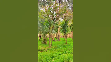 حاتم العراقي العشره ما تهون اله على ابن الحرام 